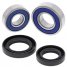 25-1068 - Wheel Bearing & Seal Kit - Front  by All Balls