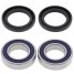 25-1079 - Wheel Bearing & Seal Kit - Front  by All Balls