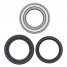 25-1497 - Wheel Bearing & Seal Kit - Front  by All Balls