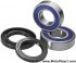 25-1250 - Wheel Bearing & Seal Kit - Rear  by All Balls