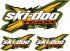 Ski-Doo X-Team Графики Камофлаж